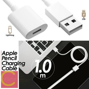 Apple Pencil 充電コネクタ 第1世代 Lightningアダプタ メス アップル