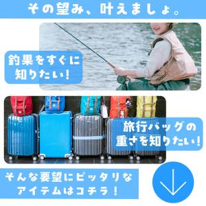 【 送料無料 】 デジタルスケール 吊り下げ ...の詳細画像1