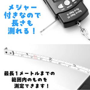 【 送料無料 】 デジタルスケール 吊り下げ ...の詳細画像4