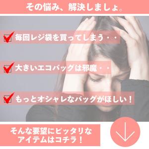エコバッグ 折りたたみ コンパクト チャック付...の詳細画像1