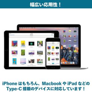 Lightning to Type-C 変換コ...の詳細画像4