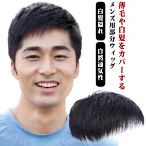 メンズ 付け毛 かつら 男性用 部分ウィッグ トップカバー メンズウィッグ ポイントウィッグ ヘアピース 紳士用 ウィッグ 脱毛症 薄毛 ウィッグ