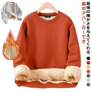 秋冬服 クルーネック 裏起毛 クルーネック 厚手 防寒 トップス プルオーバー 裏ボア 無地 スウェット メンズ レディース あったか 大きいサイズ