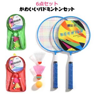 キッズ バドミントン 6点 ミニバドミントンセット セット 対象年齢7-12