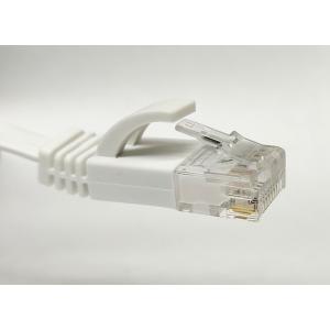 LANケーブル CAT6 1m フラットケーブルの詳細画像1