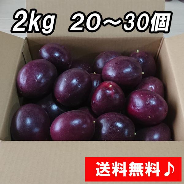 『パッションフルーツ ２kg ２０〜３０個』送料無料！南房総市産 農家直送！※訳アリ