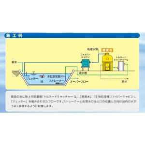 (株)石垣 湧清水 97-10型(IW-10-...の詳細画像3
