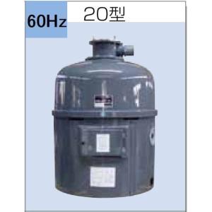 （株）石垣 湧清水 97-20型(IW-20-2型) 60Hz 代引不可 ※　個人宅への発送不可商品　定価1705000円