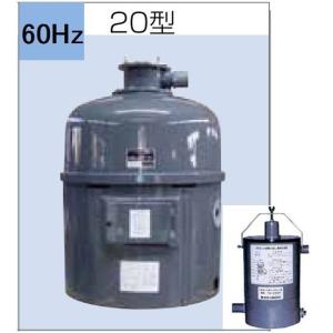 （株）石垣 湧清水 97-20型(IW-20-2型) 60Hz + トルQ(TQ-40P) 代引不可 ※　個人宅への発送不可商品　定価1815000円
