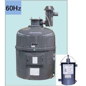 （株）石垣 U湧清水 97-20型(IW-U20-2型) 60Hz + トルQ(TQ-40P) 代引不可 ※個人宅への発送不可商品　定価2200000円