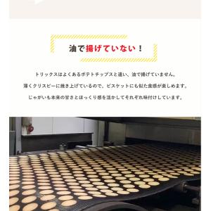 輸入菓子 トリックス TRICKS ポテトチッ...の詳細画像5