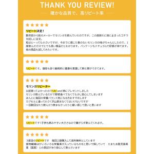 モリンガ 100% タブレット サプリメント ...の詳細画像5