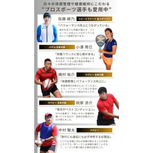 モリンガ 100% パウダー 無農薬 無添加 ...の詳細画像3