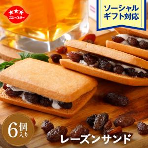お菓子 ギフト 敬老の日 クッキー プチギフト プレゼント 退職 引っ越し祝い ラムレーズン 焼き菓子 スイーツ 個包装 送料無料 レーズンサンド6個セット