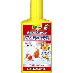 (まとめ）テトラ 金魚のバクテリア 250ml（ペット用品）〔×6セット〕｜3to4-tss