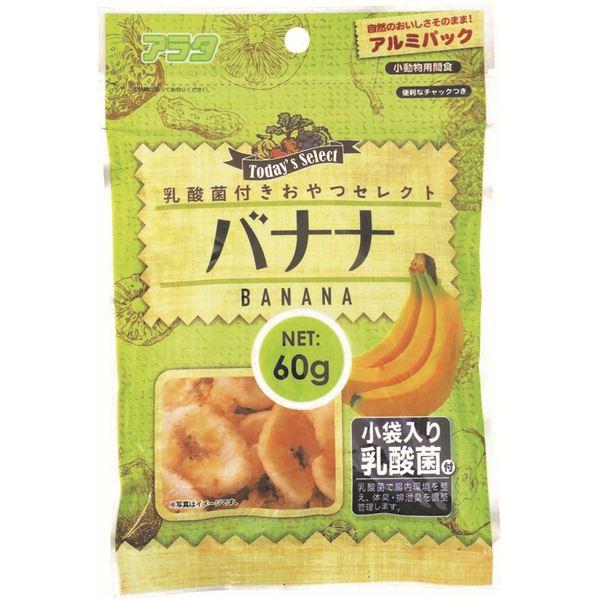 （まとめ）乳酸菌付きおやつセレクト バナナ 60g ハムスターフード 〔×10セット〕