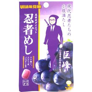 ヒトツブカンロ 【賞味期限3/6】ヒトツブカンロ グミッツェルBOX 12