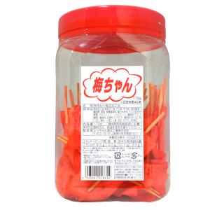 ミサキヤのすももくん 酢漬のすも太郎 2個入り×20個 (2袋セット) : y