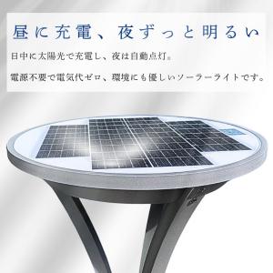 GSL31-18W-3000L(hana)+B...の詳細画像4