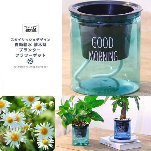 植木鉢 スタイリッシュデザイン 自動給水 プラスチック プランター フラワー ポット SW1735グ...
