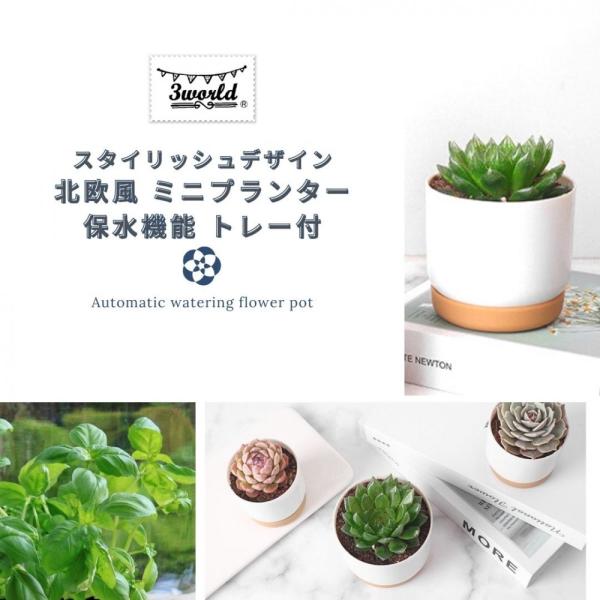 北欧風 ミニ プランター 保水機能 トレー付 シンプル ならべてkawaii 植木鉢 SW1739サ...