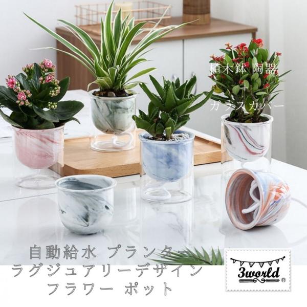 植木鉢 陶器 + ガラスカバー 自動給水 ラグジュアリー デザイン フラワー SW1759マーブル(...