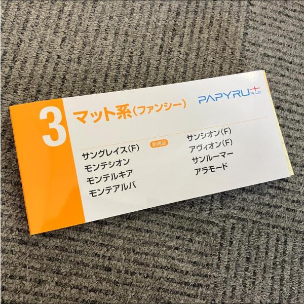 ＰＡＰＹＲＵ＋紙見本帳３（サングレイス（F)、モンテシオン、モンテルキア、モンテアルバ、サンシオン（...