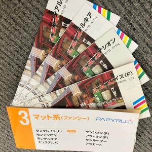 PAPYRU+紙見本帳3(サングレイス(F)、...の詳細画像1