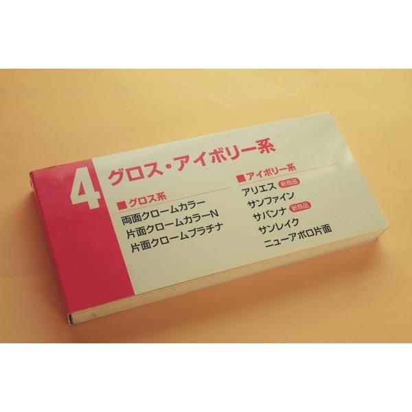 ＰＡＰＹＲＵ＋紙見本帳４（両面クロームカラー、片面クロームカラーN、アリエス、サバンナ、サンファイン...