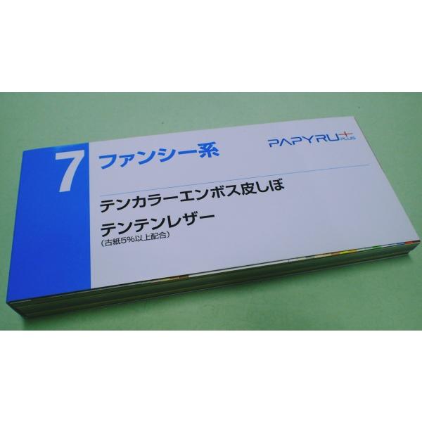 ＰＡＰＹＲＵ＋紙見本帳７（テンカラーエンボス皮しぼ、テンテンレザー）