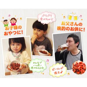 訳ありカルパス 560g(140g×4袋)ポイ...の詳細画像5