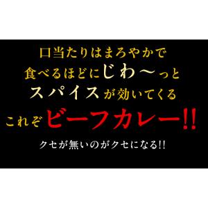 ビーフカレー 4食セット レトルトカレー ポイ...の詳細画像2