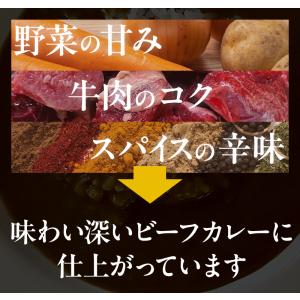 ビーフカレー 4食セット レトルトカレー ポイ...の詳細画像3