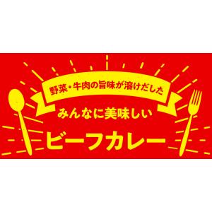 ビーフカレー 4食セット レトルトカレー ポイ...の詳細画像4