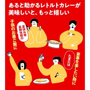 ビーフカレー 4食セット レトルトカレー ポイ...の詳細画像5