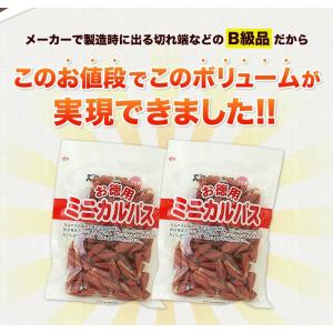 訳ありカルパス 280g(140g×2袋)ポイ...の詳細画像3