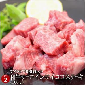 牛肉 豚肉 合計3kg アウトドアBBQセット...の詳細画像2