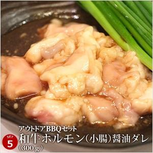 牛肉 豚肉 合計3kg アウトドアBBQセット...の詳細画像5