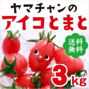 送料無料 アイコトマト ３Ｋｇ 長崎県産 やまちゃんのアイコ とまと