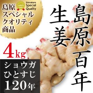 長崎県産 新しょうが ４kg 令和3年産【 新生姜 ショウガ 】【 送料無料 】