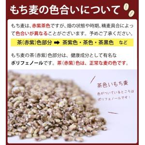 紫もち麦 500g 国産 ダイシモチ 食物繊維...の詳細画像4