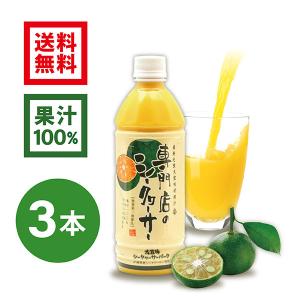 シークワーサー 果汁 ジュース 青切り 果実　専門店のシークヮーサー 500ml×3本