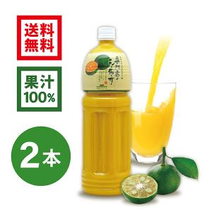 シークワーサー 果汁 ジュース 青切り 果実　専門店のシークヮーサー 1.5L×2本