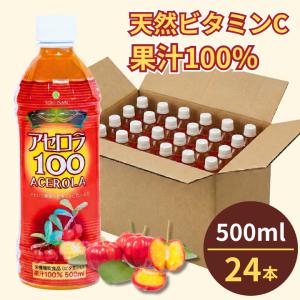 ファンタ 【販路限定品】コカ・コーラ ファンタシトラス&メロー