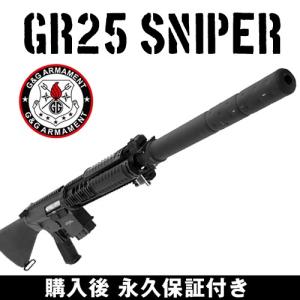 G&G CM16 MOD0 G&G ARMAMENT エアソフトガン【永久保証付き