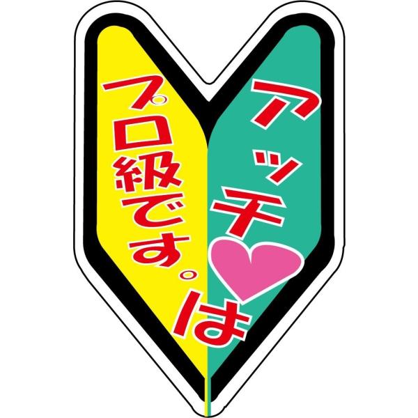 ”アッチは”プロ級です。☆なんちゃって初心者ステッカー　 シロウトモータース 4610MOTORS ...