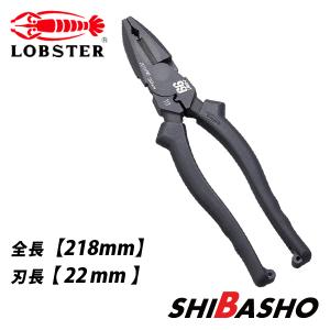 【小さいイカ】LOBSTER climbing tecnica ロブスター LOBSTER ロブテックス ロブスター J-CRAFT99 パワーニッパー JB185PWN