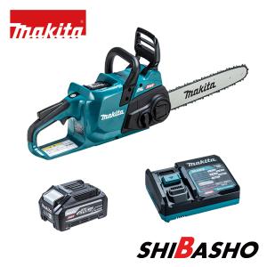 日動工業 AS-1224JS-S DC12V/24V兼用エンジンスターター ビッグバンF1 