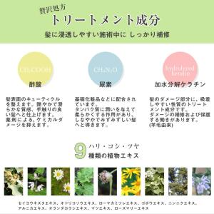 縮毛矯正 リファイン ストレートHプラス 各8...の詳細画像4