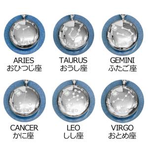 アクセサリー ステンレス 星座ネックレス / ...の詳細画像1
